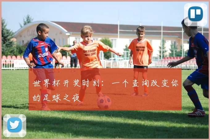 世界杯开奖时刻：一个查询改变你的足球之夜