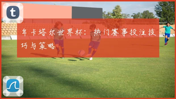 年卡塔尔世界杯：热门赛事投注技巧与策略