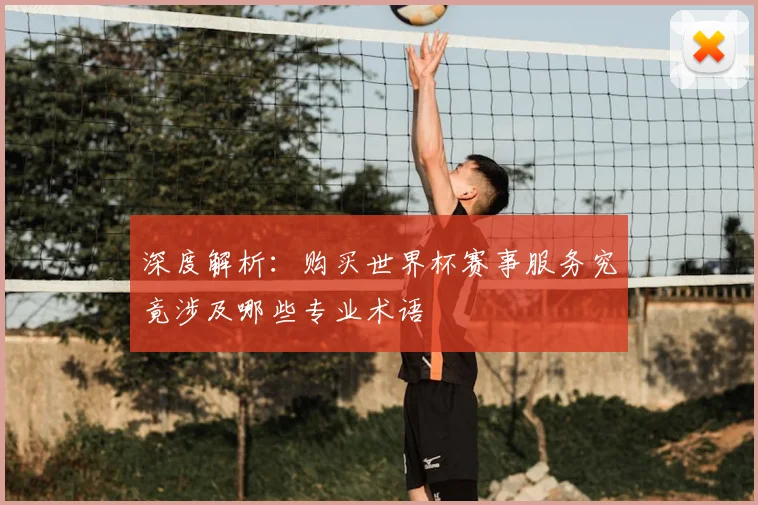 深度解析:购买世界杯赛事服务究竟涉及哪些专业术语