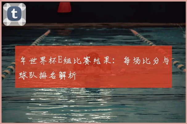 年世界杯E组比赛结果:每场比分与球队排名解析