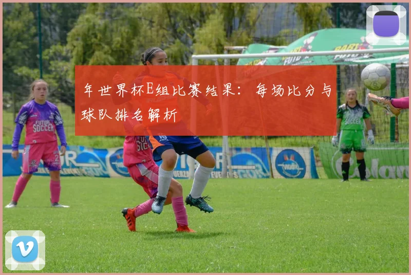 年世界杯E组比赛结果:每场比分与球队排名解析