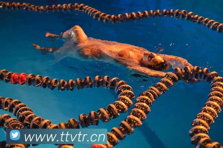 leyu乐鱼网页APP 封面图